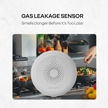Gas Leakage Sensor